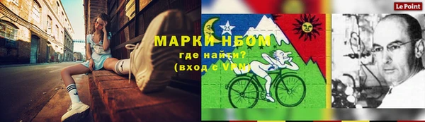 гашик Алексин