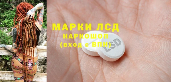 гашик Алексин