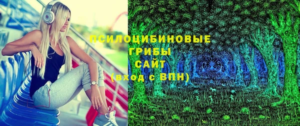 стаф Абаза