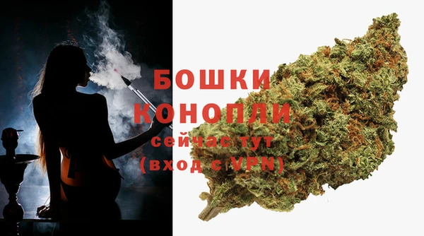 стаф Гусев