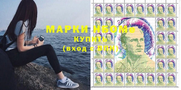 гашик Алексин