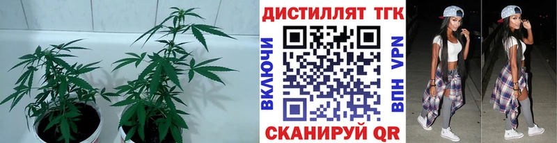 хочу наркоту  Ермолино  ссылка на мегу вход  Дистиллят ТГК Wax 