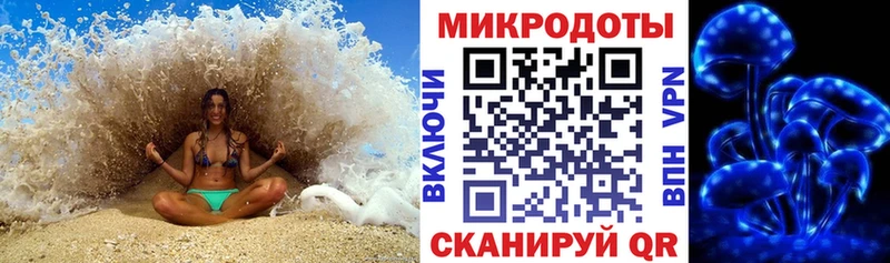 Псилоцибиновые грибы ЛСД Ермолино